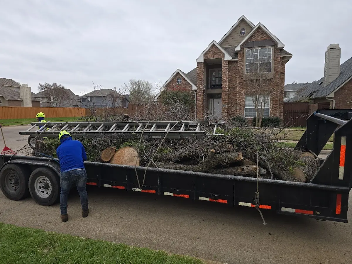 Expert Lot Clearing with proper safety equipment in Vina